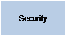 Text Box: Security