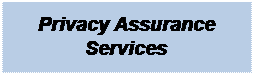 Text Box: Privacy Assurance Services