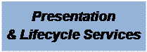 Text Box: Presentation
& Lifecycle Services
