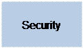 Text Box: Security