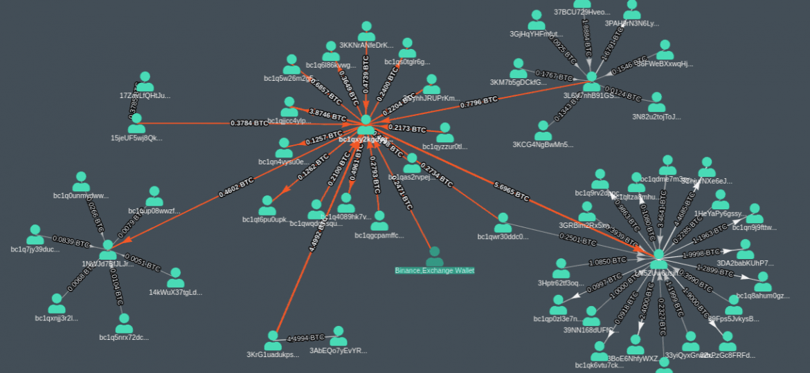 A set of nodes each of which is connected to one, sometimes several and occaisionally many others, showing a bitcoin value for each connection. Most nodes are clustered around one of several maven nodes, that are connected to many others