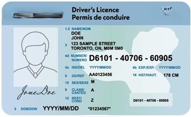 A close-up of a driver's license